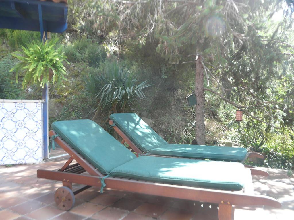 Hostal L'Ou De Reig Montseny Εξωτερικό φωτογραφία